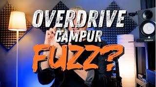 FANS PROCO RAT, MASUK!!