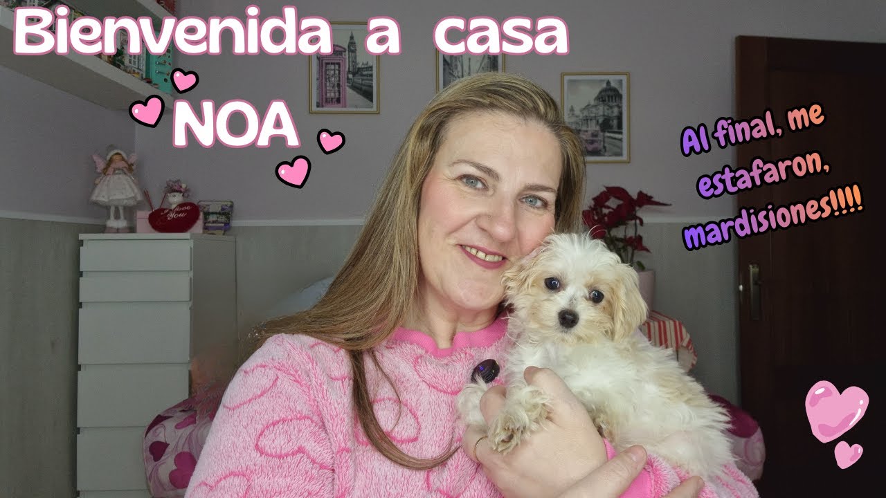 💖🤩Bienvenida a casa NOA. Finalmente me han estafado😱☠️💀mardisiones. Os lo cuento todo🤬😡.