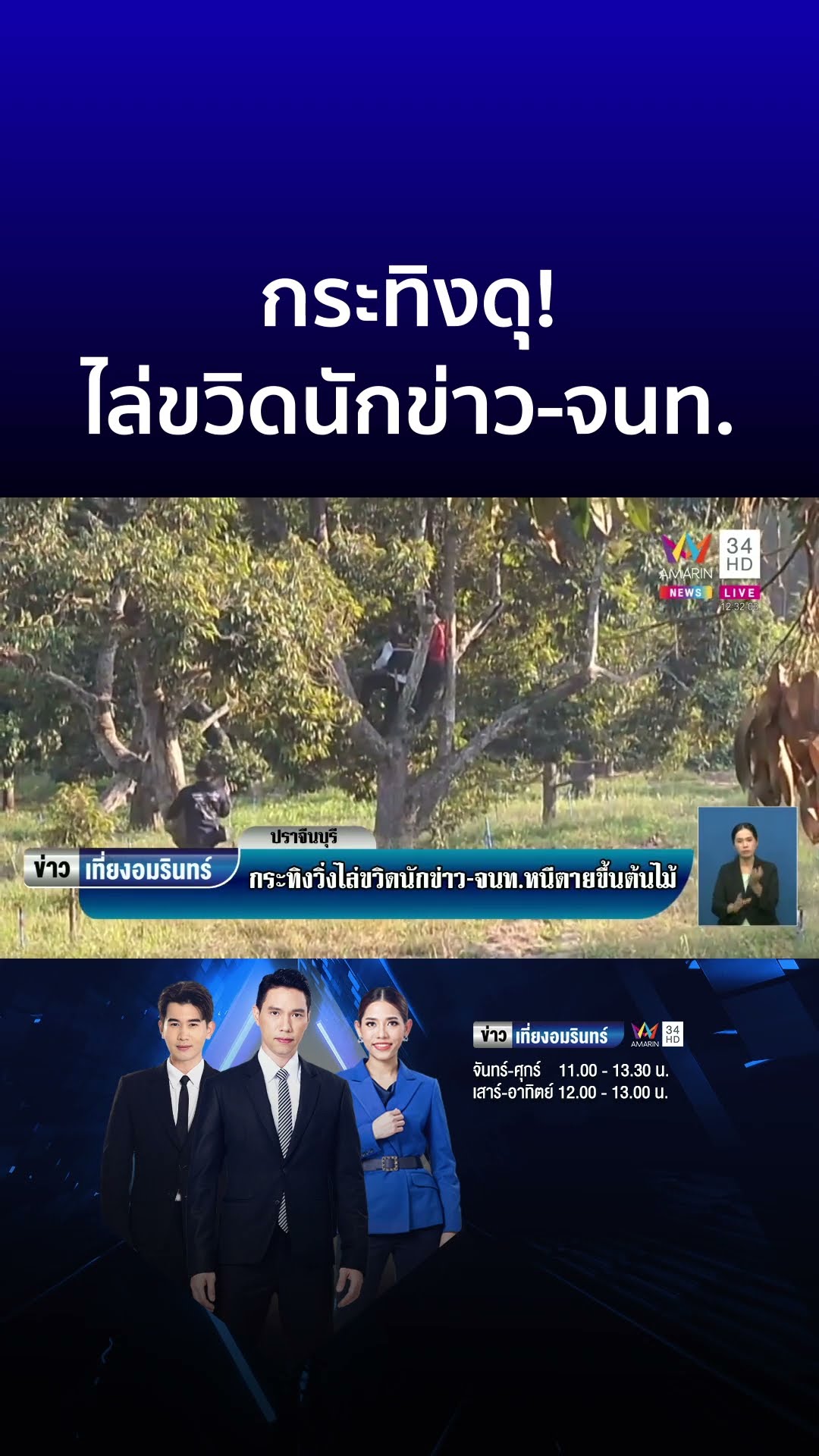 กระทิงดุ! ไล่ขวิดนักข่าว-จนท. ปีนต้นไม้หนีตายหวิดไม่รอด | ข่าวเที่ยงอมรินทร์