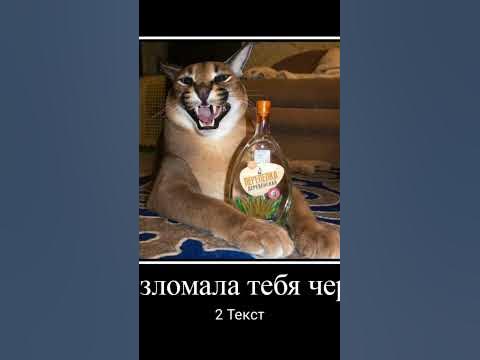 мем шлёпа #3 - YouTube