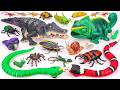 2 Hours ZURU Robo Alive Insects ASMR 🦎 Snake, Chameleon, Crocodile, Spider, Snail, Worm