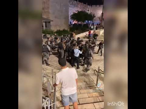 أغاني فلسطين ونشيد املأ الأرض بتكبير يهز الغاصبين أناشيد فلسطين