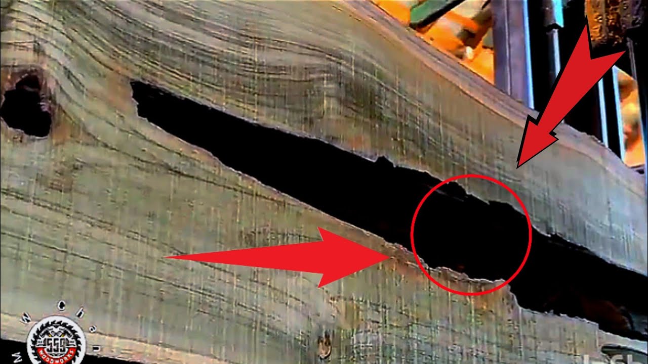 Sawing and Cutting the Hardest and Most Expensive Wood || Sawmill - YouTube