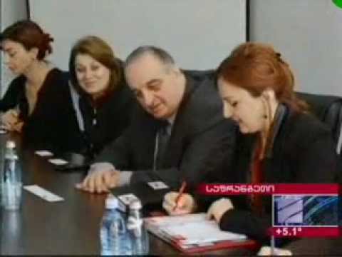 შეხვედრა ევროსაბჭოს დელეგაციასთან