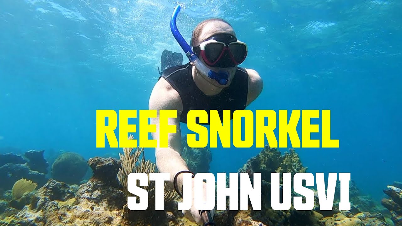 Hawksnest Bay Beach - Epic Day Snorkeling with Turtles, Stingrays, Starfish, and Conch/Crabs