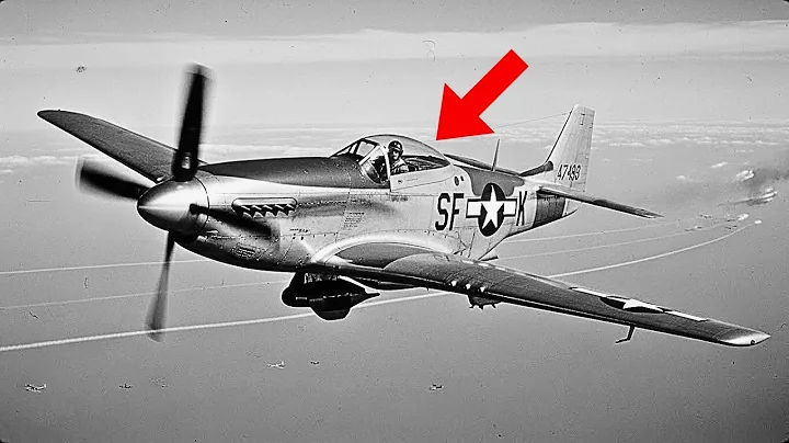 German Pilots Were Shocked When P-51 Mustangs Escorted B-17s All The Way To Berlin