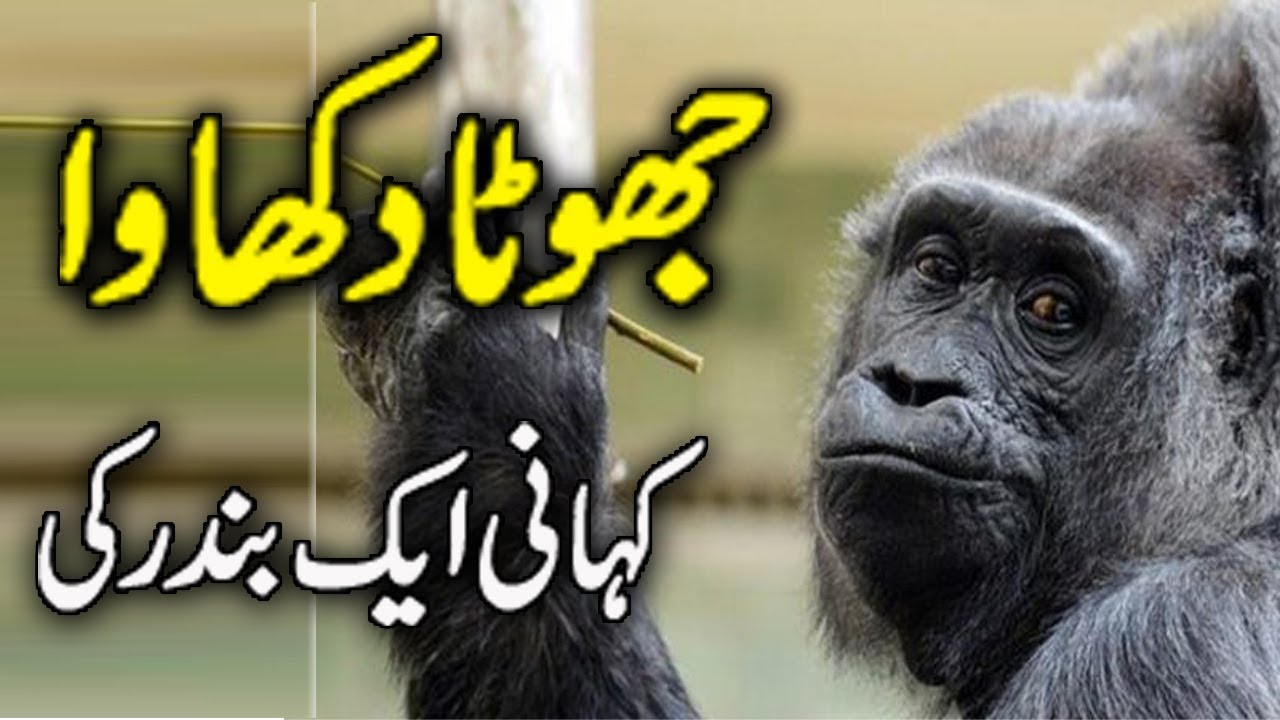 Aik Bandar Ki Kahani ( Story Of Monkey ) Lalach Ka Anjam Urdu Stories