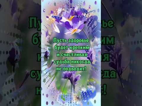 Доброго,Нежного Утра!🌷 #весна #2024 #shortsyoutube #доброеутро #добра #апрель #хорошегонастроения