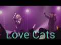 【PIGGS】Love Cats