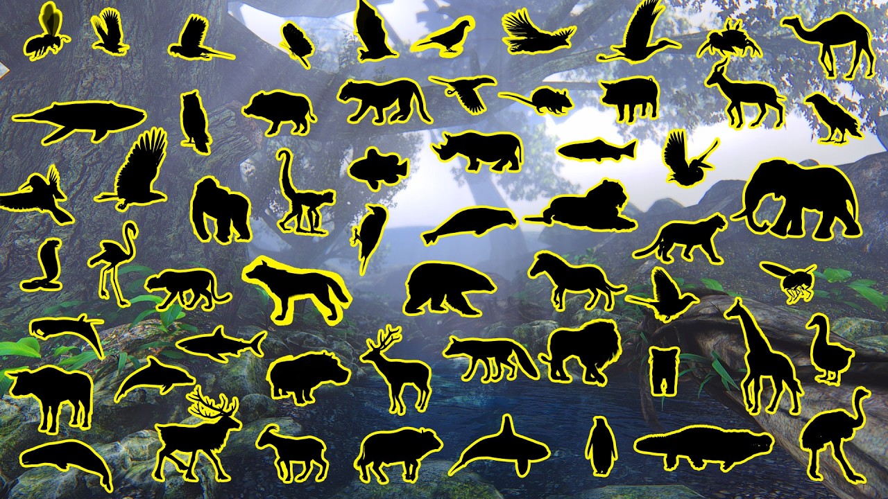 VOCÊ CONSEGUE? Adivinhe o Animal pela Sombra! 🦁👥