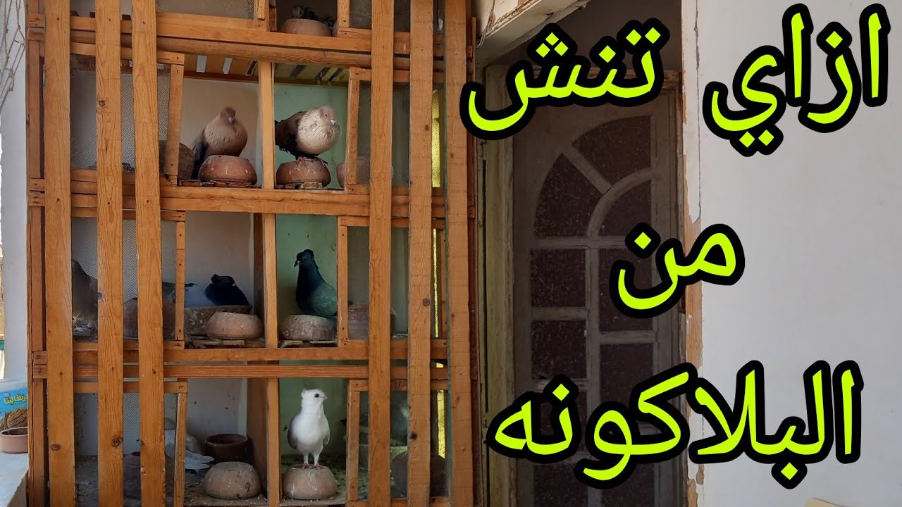 ازاي تنش حمام من بلكونه وانت مبتدئ