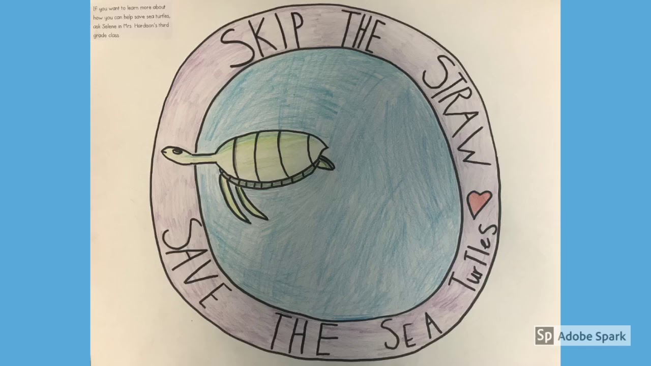 Don't Let Sea Turtles Disappear