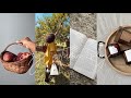 cozy autumn𝒇𝒂𝒄𝒆𝒕𝒊𝒎𝒆 𝒗𝒍𝒐𝒈🍂🧺🍎 ~apple picking, comfort meals, trader joes, entry table reset & hauls
