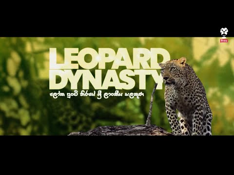ලෝක පුංචි තිරයේ ශ්‍රී ලාංකීය සලකුණ: Leopard Dynasty