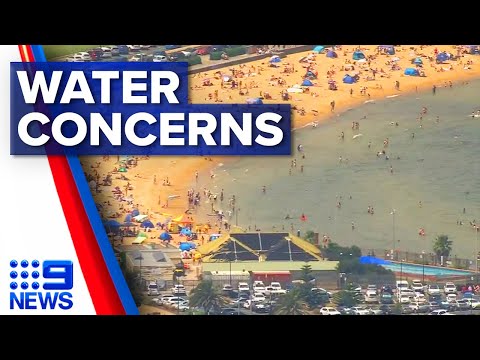 Warning for beachgoers over water quality | 9 news australia