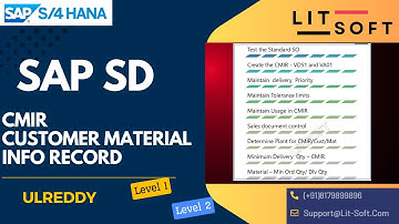SAP SD CMIR   3 Maintain Delivery Priorities