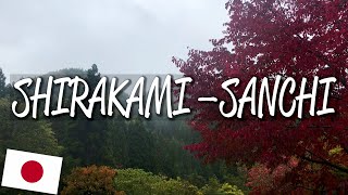 Shirakami-Sanchi - UNESCO World Heritage Site