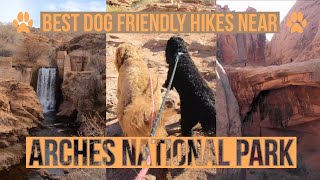 Best Dog Friendly Hikes Near Arches National Park | Mills Creek & Grandstaff Trail | NW Hiking Blog