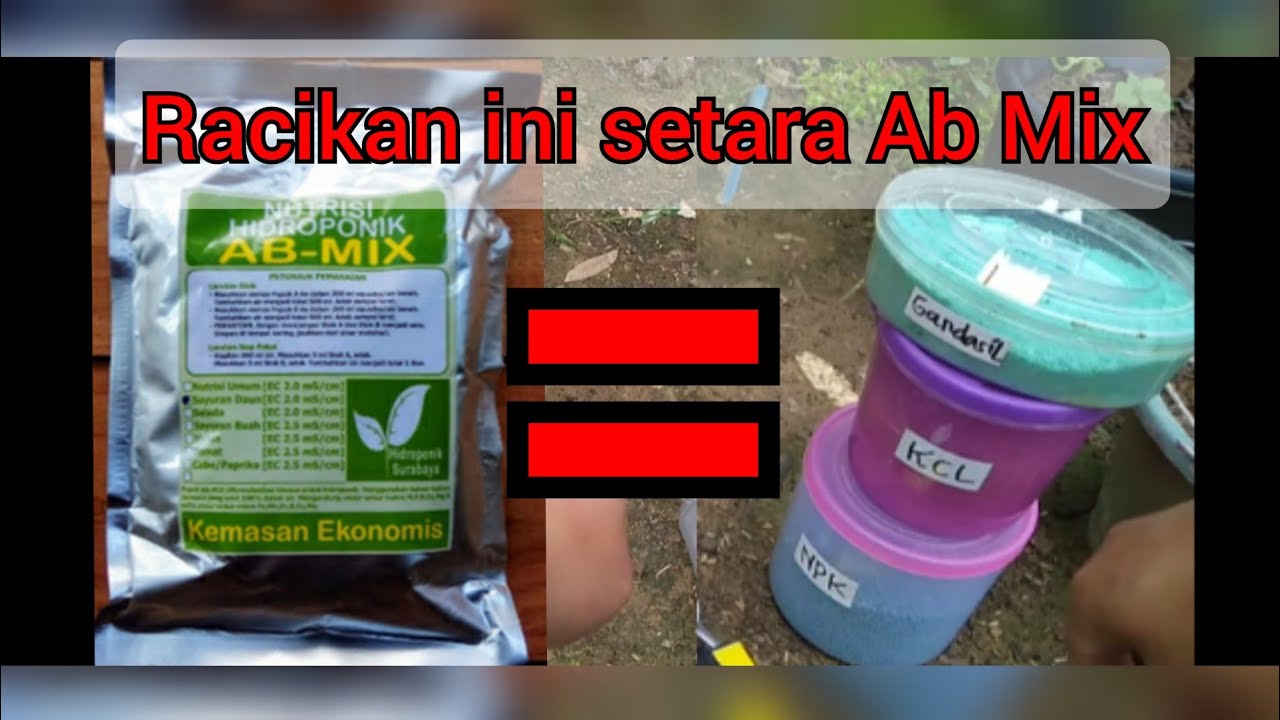 Cara membuat nutrisi hidroponik  sendiri racikan ab mix 