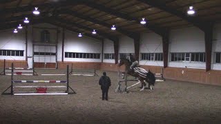 Riding Lesson Jumping 2'9