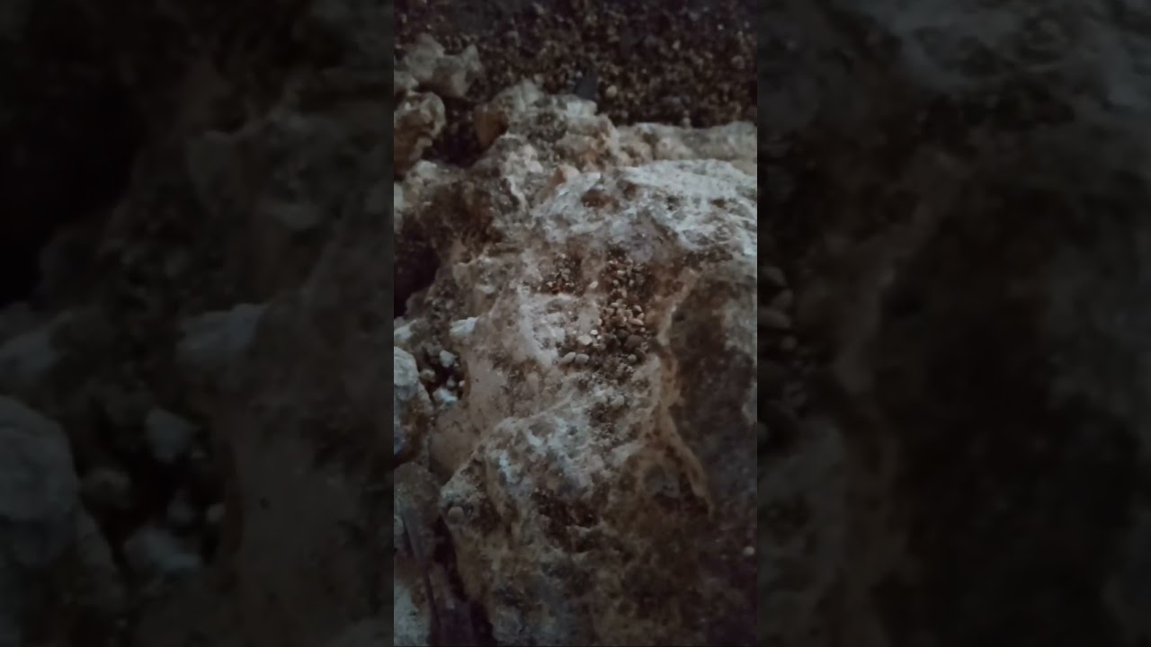 Pareidolia:Why We See Faces In Things| Psychological Phenomenon