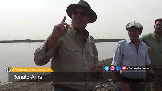 Renato Arns, productor brasileño de arroz en Corrientes