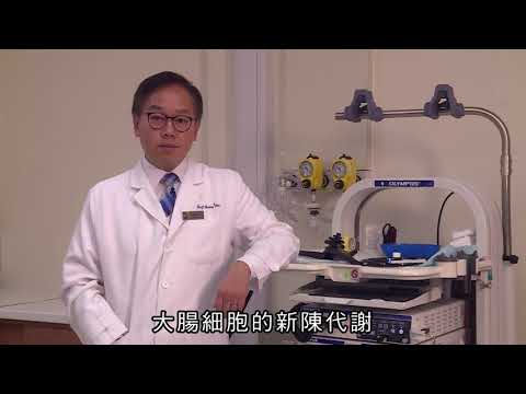 大腸功能與及早篩查