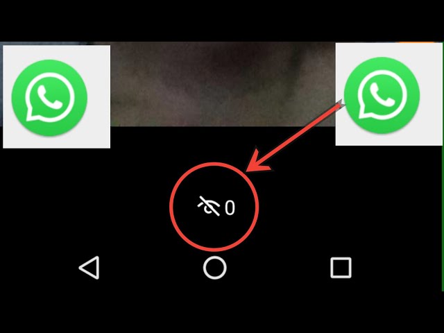 WhatsApp status views not showing class=