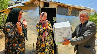 The Landowner’s Box Revealed a Shocking Secret About a Nomadic Mother… screenshot 5