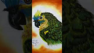 #mickisimagination #art #artist #online #drawing #gallery #bird #parrot #palmbeach #florida