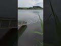 大钓鱼 😓 রুশ মাছ ধরা Бесплатная рыбалка Canne à pêche