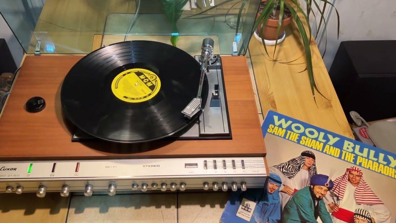 Sam The Sham & The Pharaohs - Wooly Bully - 1965