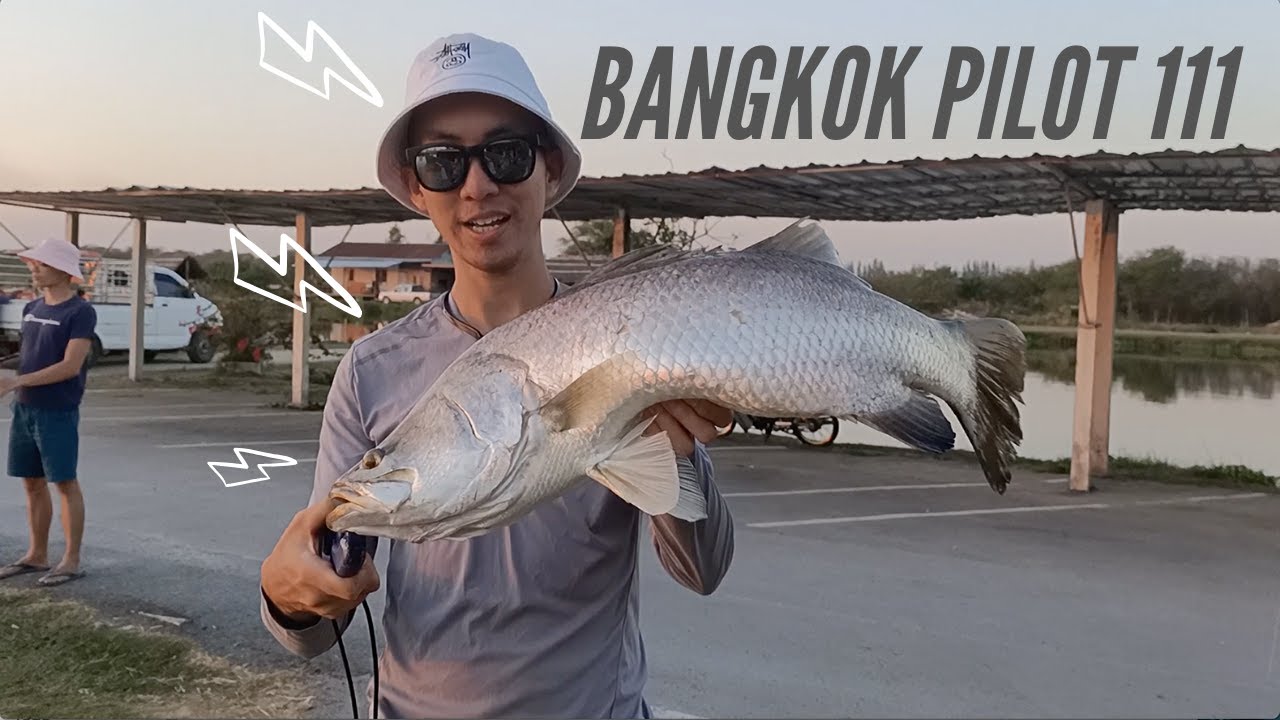 UNSTOPPABLE: Big Head Carp, Mekong Giant Catfish, Giant Snakehead