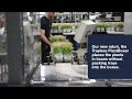Bosman Van Zaal: The Trayless PlantBoxer