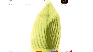 HOW TO GET PAID APPS FREE APPS (NO JAILBREAK) IOS 8.1.3 [OUTDATED]