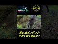 【函館遠征最終回】大先生の活躍はいかに！ #shorts #short #B-STYLE TV #TORIsan TV  #jimny #ジムニー #林道 #ジムニー女子 #坂道 #横転