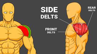 Why Your Side Delts Won’t Grow | You're doing Lateral Raises Wrong