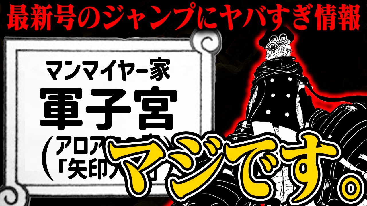 軍子が「マンマイヤー・軍子宮」だった件…え、ブルック何者?【ワンピース】 - YouTube
