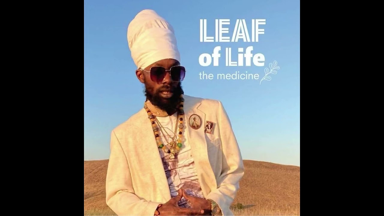 Leaf Of Life • The Medicine Album Mix Tape • Blak Warrior Sound