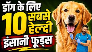 10 Human Foods जो Dogs सुरक्षित रूप से खा सकते हैं | Healthy Treats for Your Dog