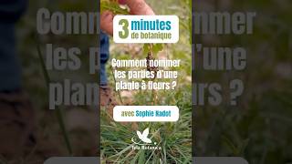 How do we name the parts of a flowering plant? #3minutesofbotany