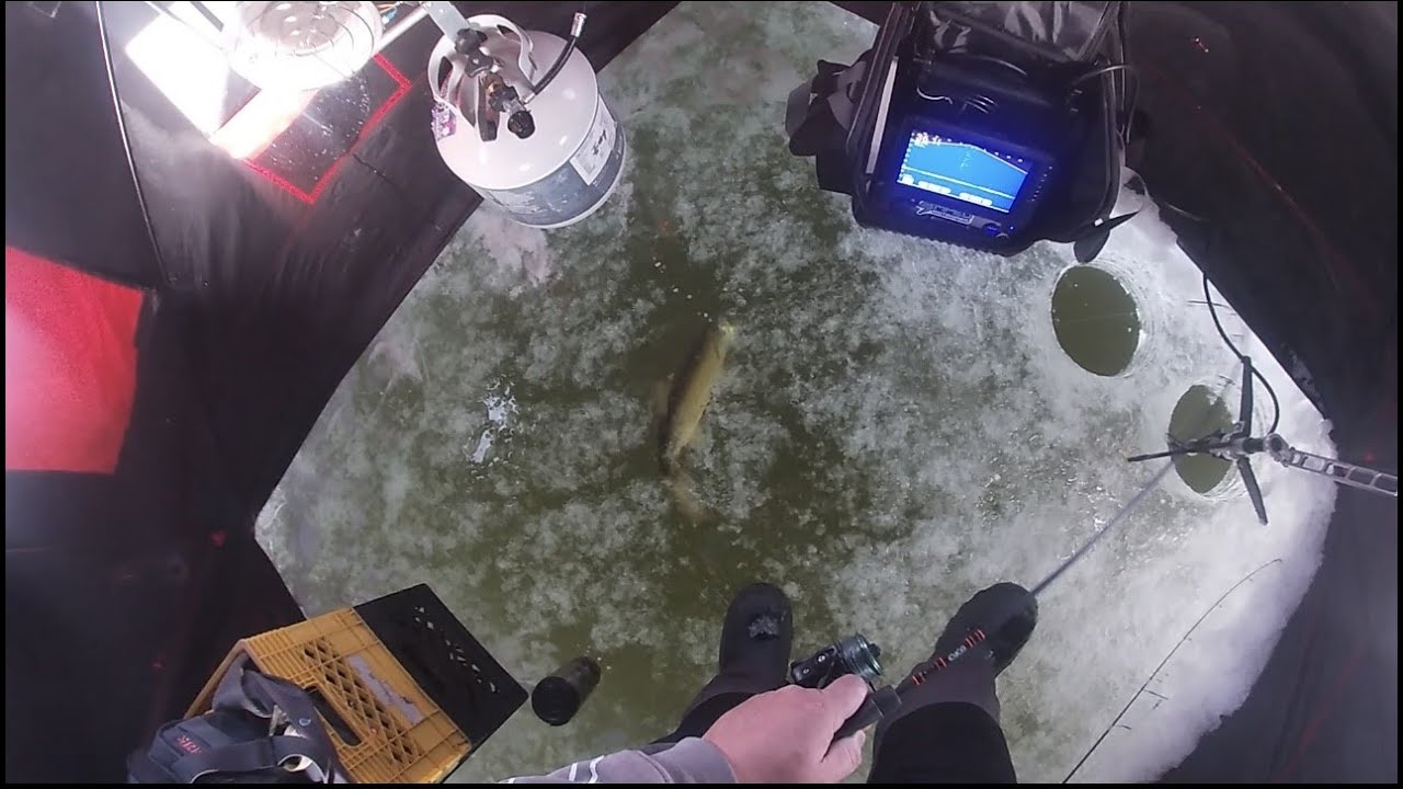 Early Ice 2023 Lake Trout Fishing Ganglers North Seal River Lodge Lake Egenolf!!