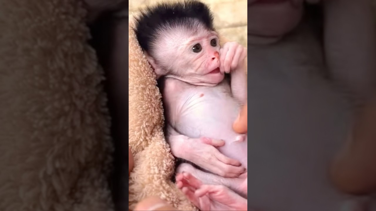 “Baby Cici’s Mood Swings: Normal or Not?”