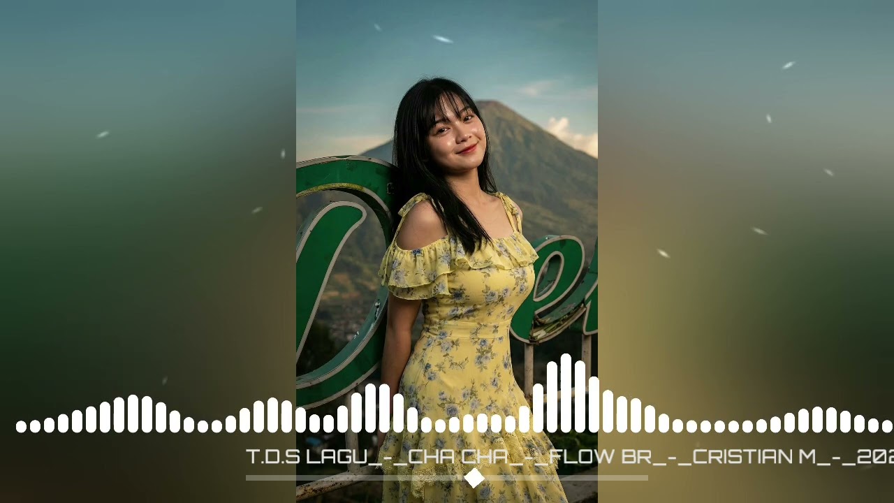 T.D.S_LAGU_CHA CHA‼️FLOW BR