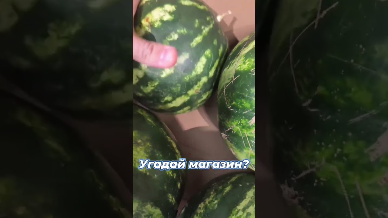 Самые свежие арбузы только у нас в магазинах 😁