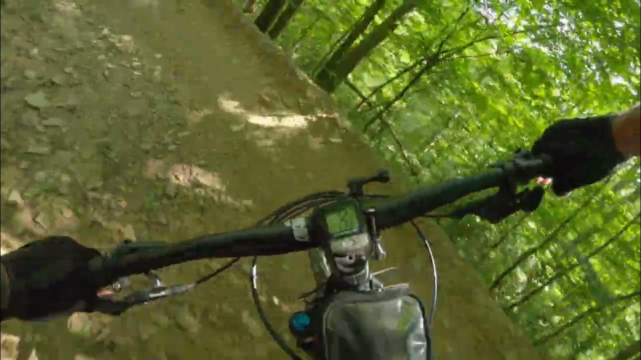 Alameda Park Butler Pa Events Schedule Today Alameda Park Butler Pa Events Schedule Today