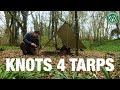 The 3 essential knots for tarps  camping  bushcraft  tarpology essentials  plus a thank you