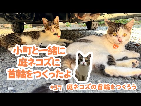57 Let's Make Collars for the Garden Cats - YouTube