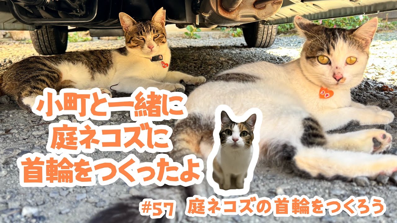 57 Let's Make Collars for the Garden Cats - YouTube