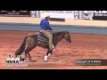 Great red chex ridden by brian bell  2013 nrha derby